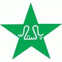 Pakistani team logo-image