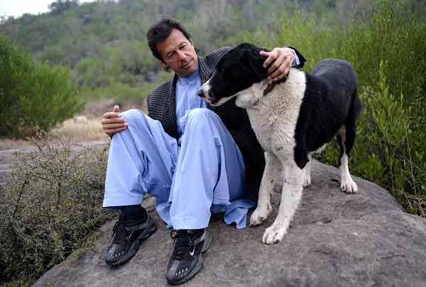 pti imran khan with dog