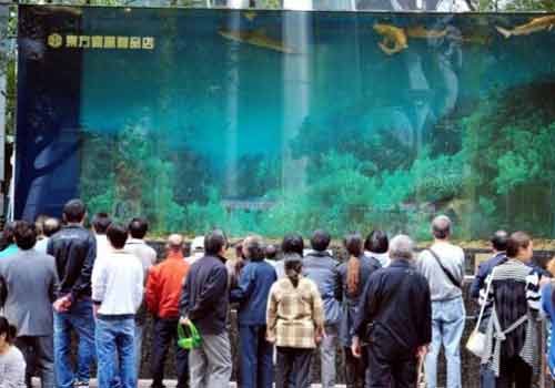 Shanghai-aquarium-break