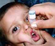 polio drops to child