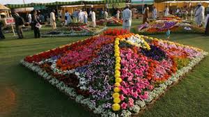 mirpurkhas flower show