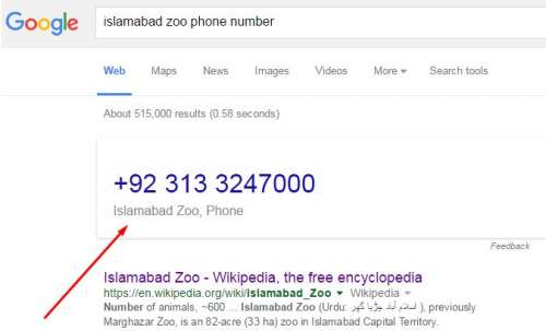 Islamabad Zoo Contact