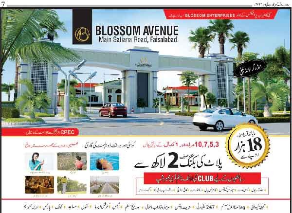 Faisalabad Blosson avenue